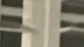 Emiliano Aguilar_Carmen Treviño