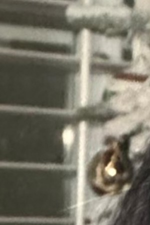 Emiliano Aguilar_Carmen Treviño