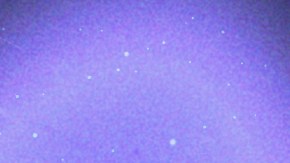 Scorpio_Paloma Mami_Young Miko