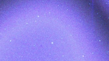 Scorpio_Paloma Mami_Young Miko