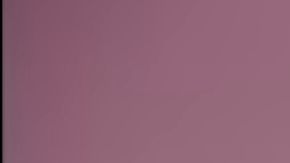 Selena Quintanilla in Selena y los dinos