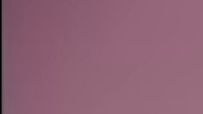 Selena Quintanilla in Selena y los dinos