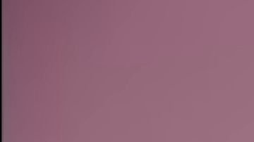 Selena Quintanilla in Selena y los dinos