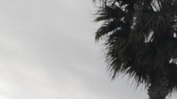 Rosalía_LUX_LUX TOUR