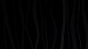 Bizarapp and Daddy Yankee