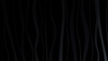 Bizarapp and Daddy Yankee