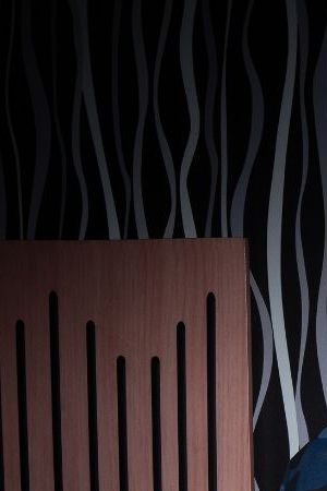 Bizarapp and Daddy Yankee