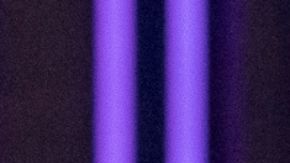 DANCING WITH THE STARS – “20th Birthday Party” – It’s time to party! “Dancing with the Stars” is celebrating 20 incredible years of dazzling moves, unforgettable moments and show-stopping performances. Former host Tom Bergeron makes a return to the ballroom as guest judge. TUESDAY, NOV. 11 (8:00-10:01 p.m. EST) on ABC. (Disney/Eric McCandless) XOCHITL GOMEZ, ROBERT IRWIN, WITNEY CARSON