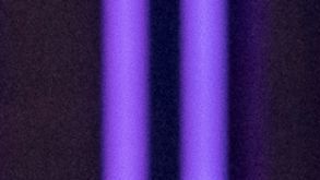 DANCING WITH THE STARS – “20th Birthday Party” – It’s time to party! “Dancing with the Stars” is celebrating 20 incredible years of dazzling moves, unforgettable moments and show-stopping performances. Former host Tom Bergeron makes a return to the ballroom as guest judge. TUESDAY, NOV. 11 (8:00-10:01 p.m. EST) on ABC. (Disney/Eric McCandless) XOCHITL GOMEZ, ROBERT IRWIN, WITNEY CARSON