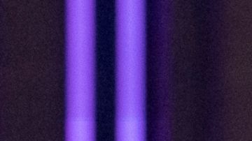 DANCING WITH THE STARS – “20th Birthday Party” – It’s time to party! “Dancing with the Stars” is celebrating 20 incredible years of dazzling moves, unforgettable moments and show-stopping performances. Former host Tom Bergeron makes a return to the ballroom as guest judge. TUESDAY, NOV. 11 (8:00-10:01 p.m. EST) on ABC. (Disney/Eric McCandless) XOCHITL GOMEZ, ROBERT IRWIN, WITNEY CARSON