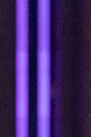 DANCING WITH THE STARS – “20th Birthday Party” – It’s time to party! “Dancing with the Stars” is celebrating 20 incredible years of dazzling moves, unforgettable moments and show-stopping performances. Former host Tom Bergeron makes a return to the ballroom as guest judge. TUESDAY, NOV. 11 (8:00-10:01 p.m. EST) on ABC. (Disney/Eric McCandless) XOCHITL GOMEZ, ROBERT IRWIN, WITNEY CARSON