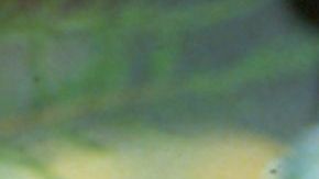 Juan Gabriel: I Must, I Can, I Will - Production Still Image