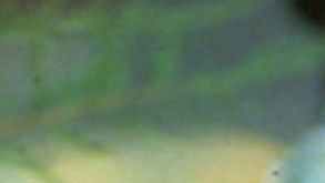 Juan Gabriel: I Must, I Can, I Will - Production Still Image