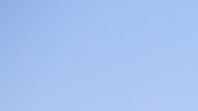 Photography by  Greg Mionske.