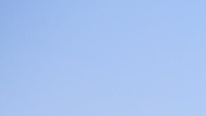 Photography by  Greg Mionske.