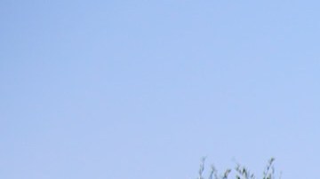 Photography by  Greg Mionske.