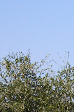 Photography by  Greg Mionske.