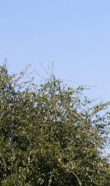 Photography by  Greg Mionske.