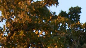 Photography by  Greg Mionske.