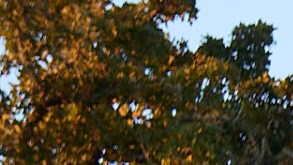 Photography by  Greg Mionske.