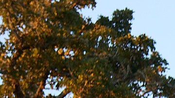 Photography by  Greg Mionske.