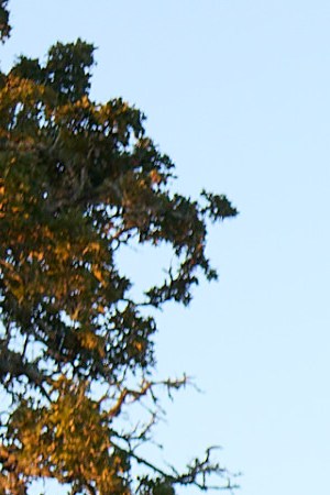 Photography by  Greg Mionske.