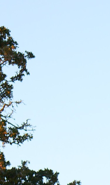 Photography by  Greg Mionske.