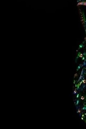 Miss Universe Puerto Rico 2025