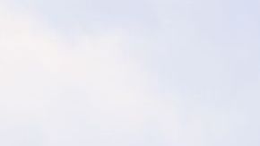 Rauw Alejandro standing in field