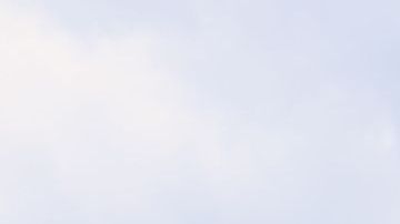 Rauw Alejandro standing in field