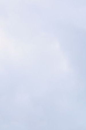 Rauw Alejandro standing in field