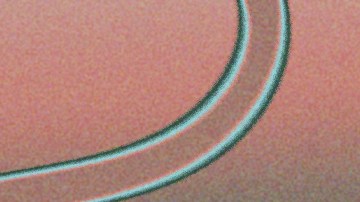 Damiano David_Mi Bello Ángel