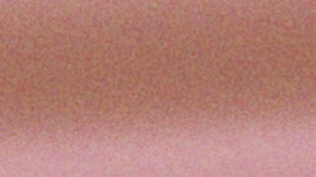 Nawat Itsaragrisil and Miss Mexico