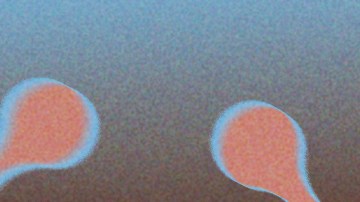 Six Sex-Xavi-Ricardo Arjona_2026