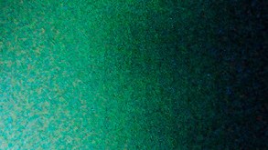 Rauw Alejandro_Free Concert