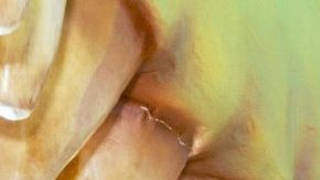 Fallout season 2 cast at ccxc