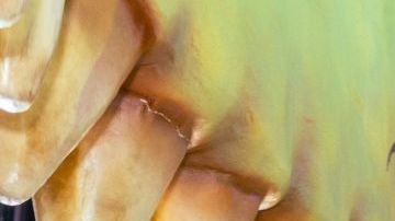 Fallout season 2 cast at ccxc