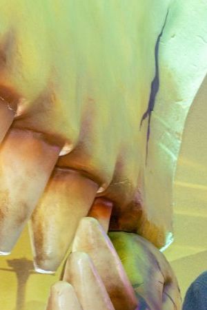 Fallout season 2 cast at ccxc