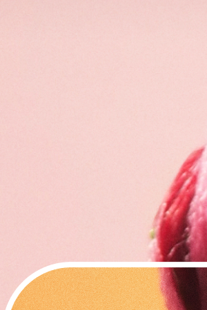 Courtesy of Pinterest.