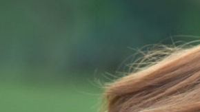 Credit: Shutterstock