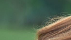 Credit: Shutterstock