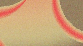 Amazon Holiday Gifts