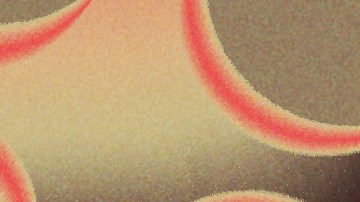 Amazon Holiday Gifts