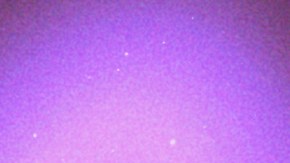 Capricorn-Arcángel-Bruses