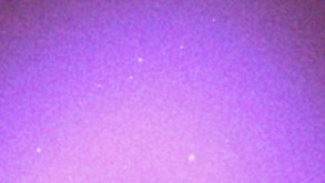 Capricorn-Arcángel-Bruses