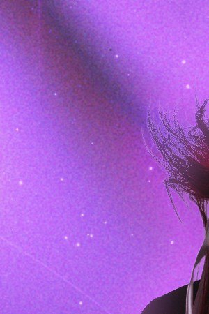 Capricorn-Arcángel-Bruses