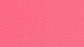 Lolita Banana and Taiga Brava