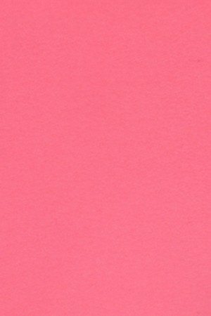 Lolita Banana and Taiga Brava