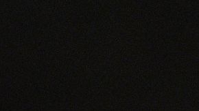 Adidas Willy Chavarría