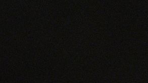 Adidas Willy Chavarría